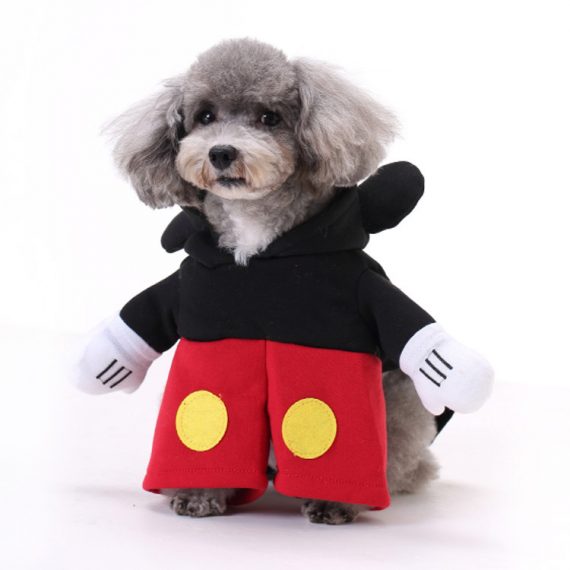 Dog Mouse Gift Costume Outfit