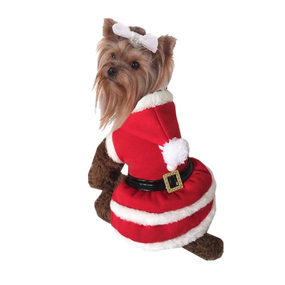 Fun Dog Christmas Santa Clause Costume