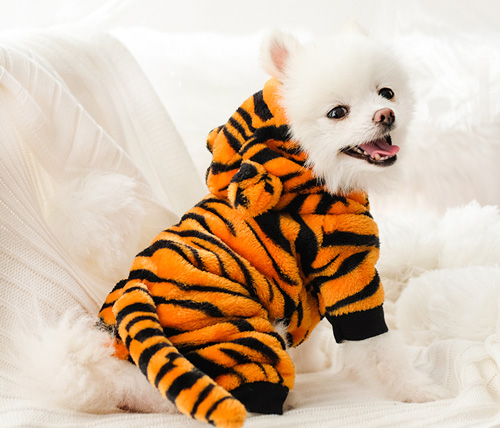 Pet Dog Tiger Costume