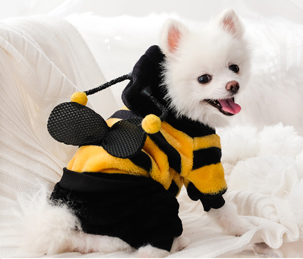 Cute Pet Dog Bee Costume