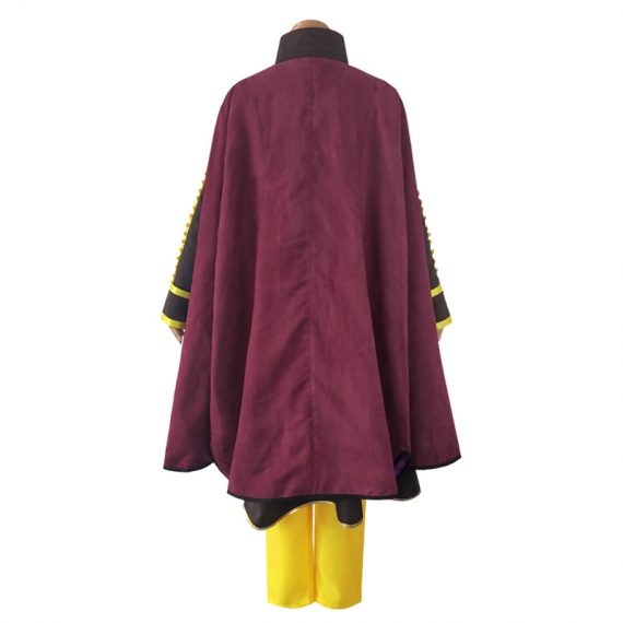 Princess Anna Costume