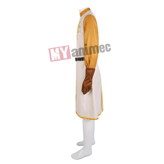 Medieval Monty Python King Arthur Costume
