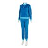 Blue Violet Beauregarde Costume