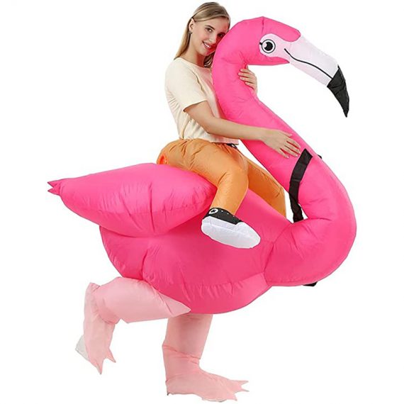 Funny Riding Flamingo Inflatable Costume