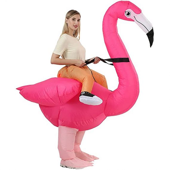 Funny Riding Flamingo Inflatable Costume