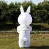 Adult Cute Rabbit Inflatable Costume