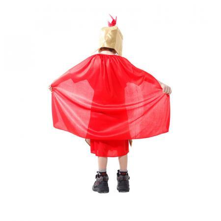 9-2Boy’s Noble Medieval Knight Costume