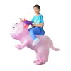 Funny Riding Cat Inflatable Costume For Kids