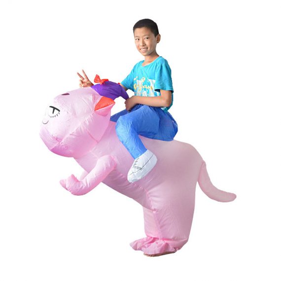 Funny Riding Cat Inflatable Costume For Kids