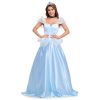 Women’s Cinderella Party Costume