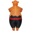 Funny Tiger Inflatable Costume