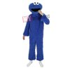 Cookie Monster Costume