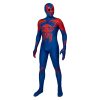 Spider Man 2099 Costume